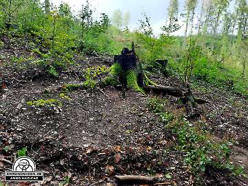 Codex-Chronomicon_Anno-Magicae_Baerenau-Epos_30092022_031_Rollenspiel_RPG_LARP