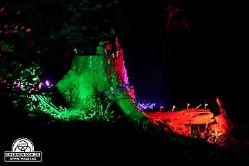 Codex-Chronomicon_Anno-Magicae_Baerenau-Epos_30092022_342_Rollenspiel_RPG_LARP