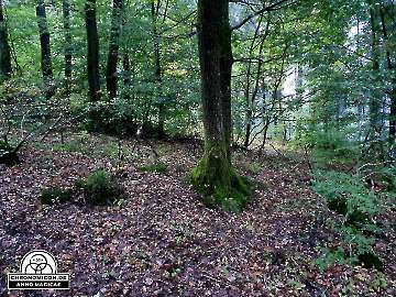 Codex-Chronomicon_Anno-Magicae_Baerenau-Epos_03102019_039_Rollenspiel_RPG_LARP