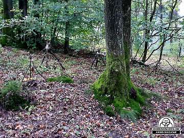 Codex-Chronomicon_Anno-Magicae_Baerenau-Epos_03102019_040_Rollenspiel_RPG_LARP