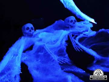 Codex-Chronomicon_Anno-Magicae_Baerenau-Epos_03102019_251_Rollenspiel_RPG_LARP