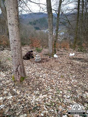 Chronomicon_Anno-Magicae_Baerenau-Epos_06102023-10042023_210_Rollenspiel_RPG_LARP