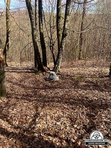 Codex-Chronomicon_Anno-Magicae_Baerenau-Epos_15042022_040_Rollenspiel_RPG_LARP