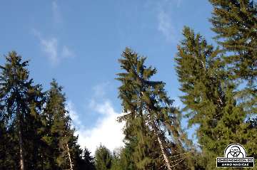 Codex_Chronomicon_Anno-Magicae_Sagala-Epos_07102006_021_Rollenspiel_RPG_LARP