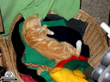 Codex_Chronomicon_Anno-Magicae_Sagala-Epos_02082003_084_Rollenspiel_RPG_LARP