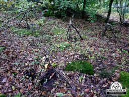 Erste Bärenau Âventiure 03.10.2019 - 06.10.2019