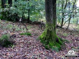 Erste Bärenau Âventiure 03.10.2019 - 06.10.2019