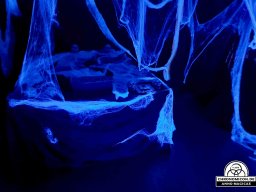 Erste Bärenau Âventiure 03.10.2019 - 06.10.2019