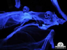 Erste Bärenau Âventiure 03.10.2019 - 06.10.2019