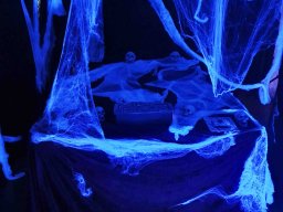 Erste Bärenau Âventiure 03.10.2019 - 06.10.2019