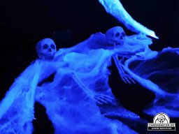 Erste Bärenau Âventiure 03.10.2019 - 06.10.2019