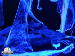 Erste Bärenau Âventiure 03.10.2019 - 06.10.2019